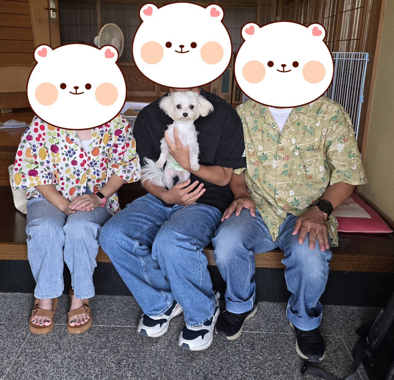 こちらの保護犬は里親様が決まりました