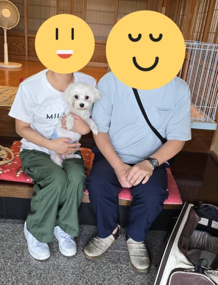 こちらの保護犬は里親様が決まりました