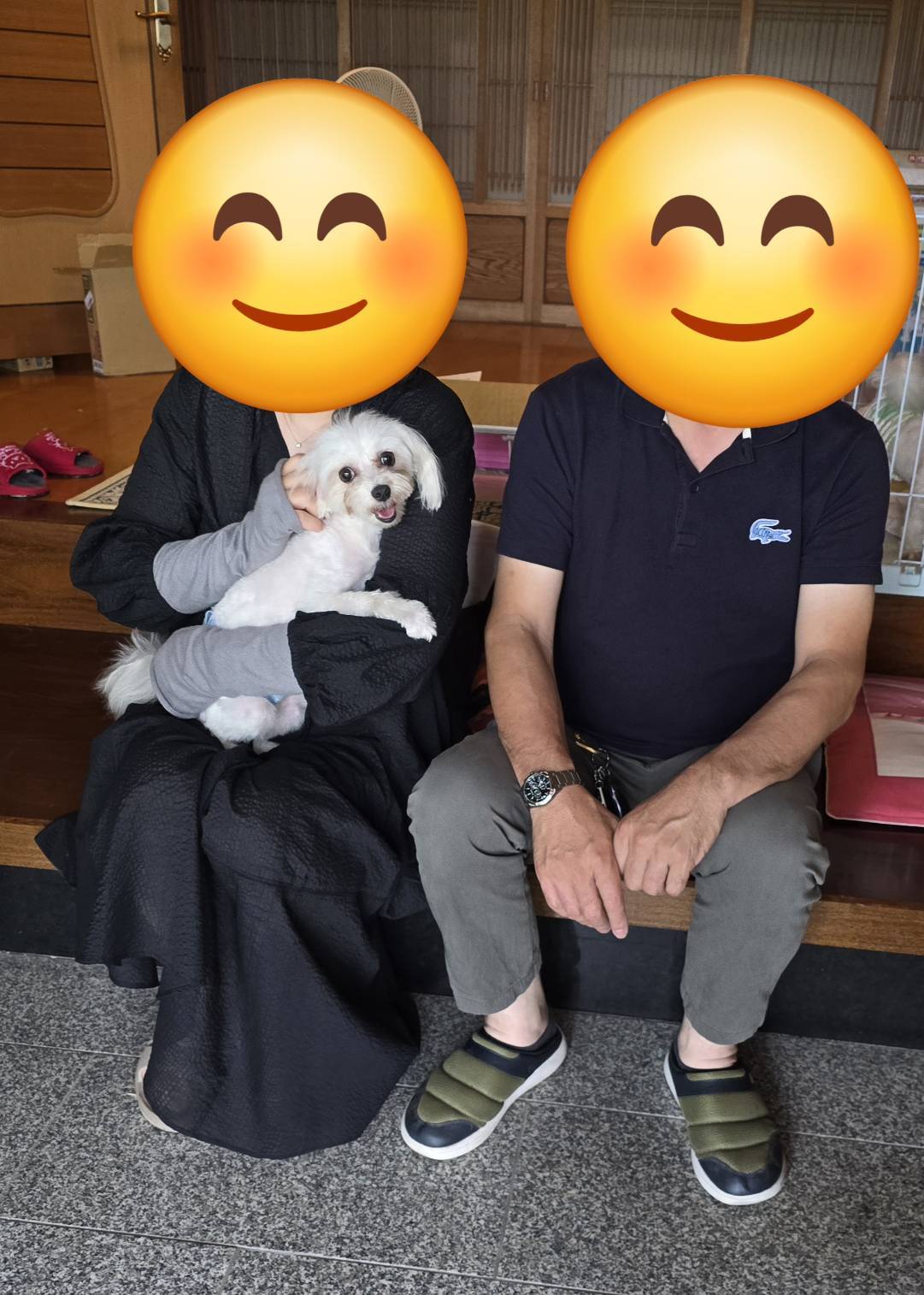 こちらの保護犬は里親様が決まりました