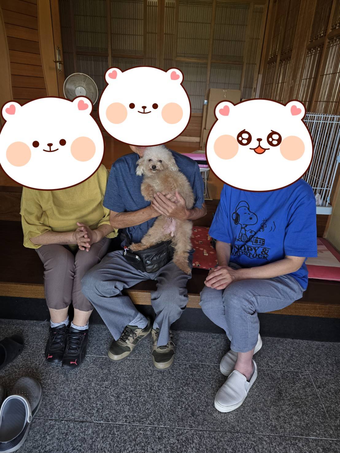 こちらの保護犬は里親様が決まりました