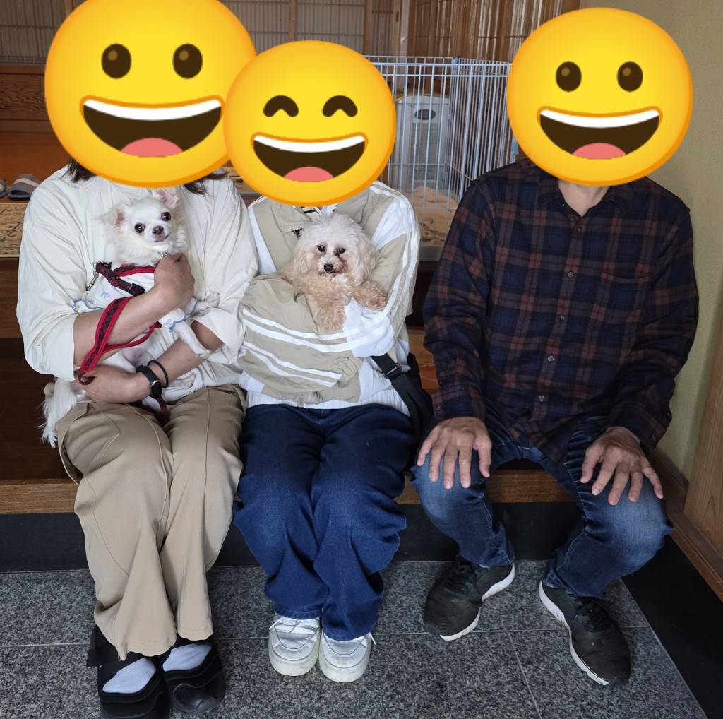 こちらの保護犬は里親様が決まりました