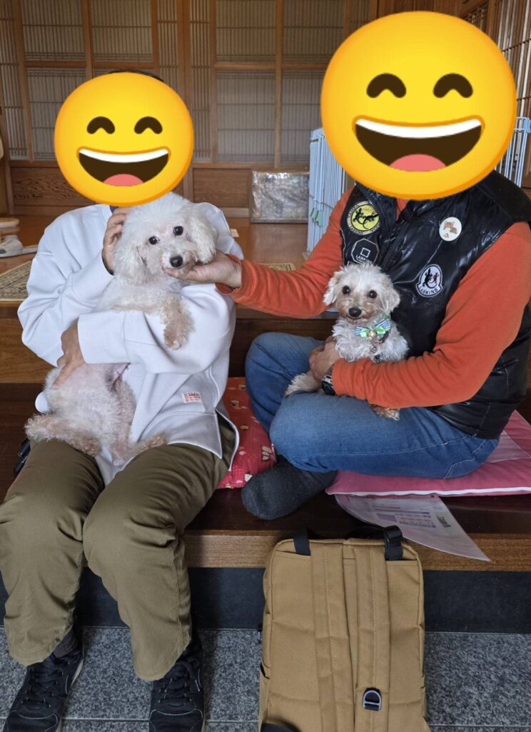こちらの保護犬は里親様が決まりました