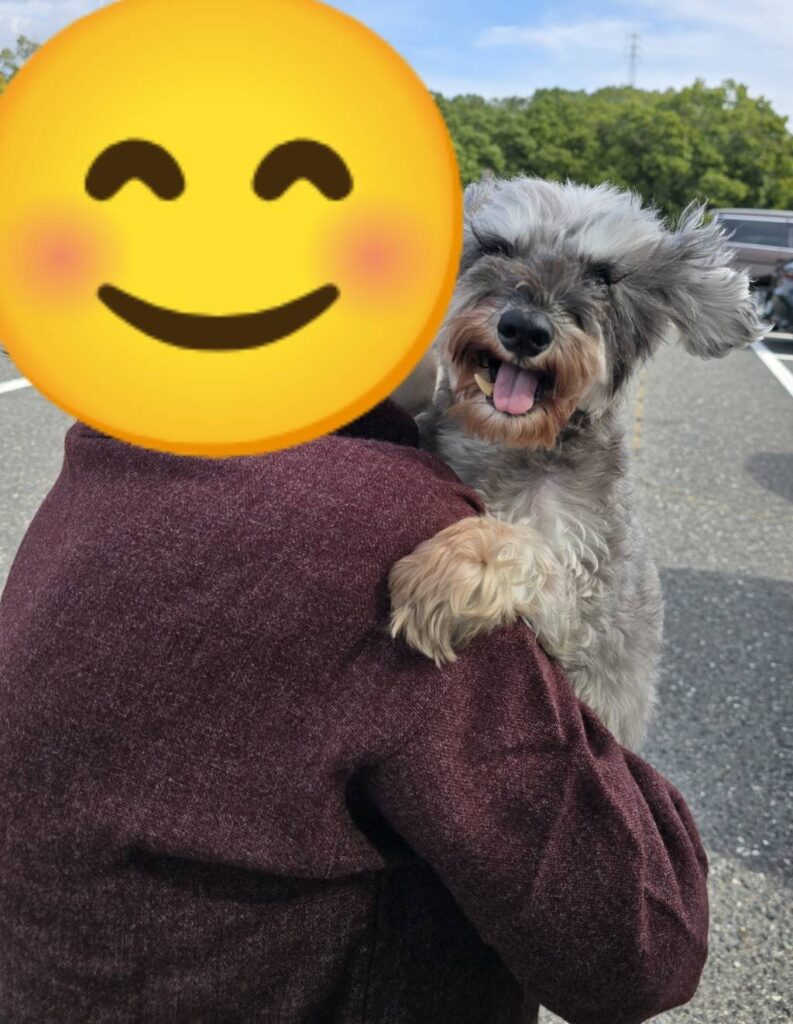こちらの保護犬は里親様が決まりました