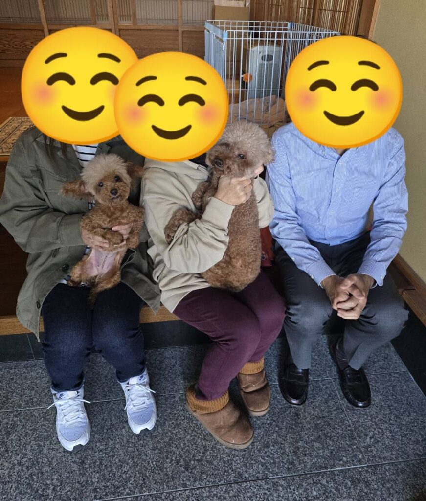 こちらの保護犬は里親様が決まりました