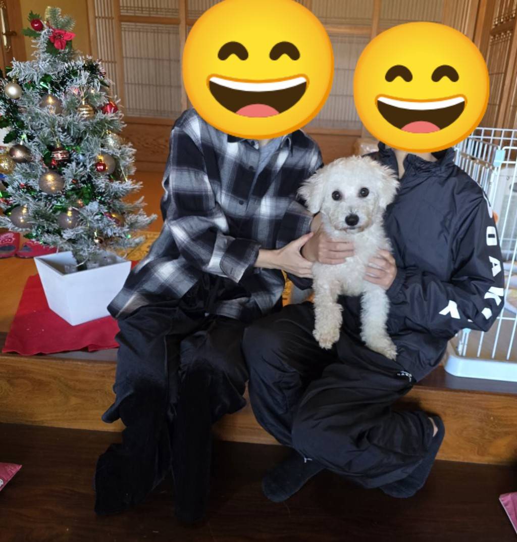 こちらの保護犬は里親様が決まりました