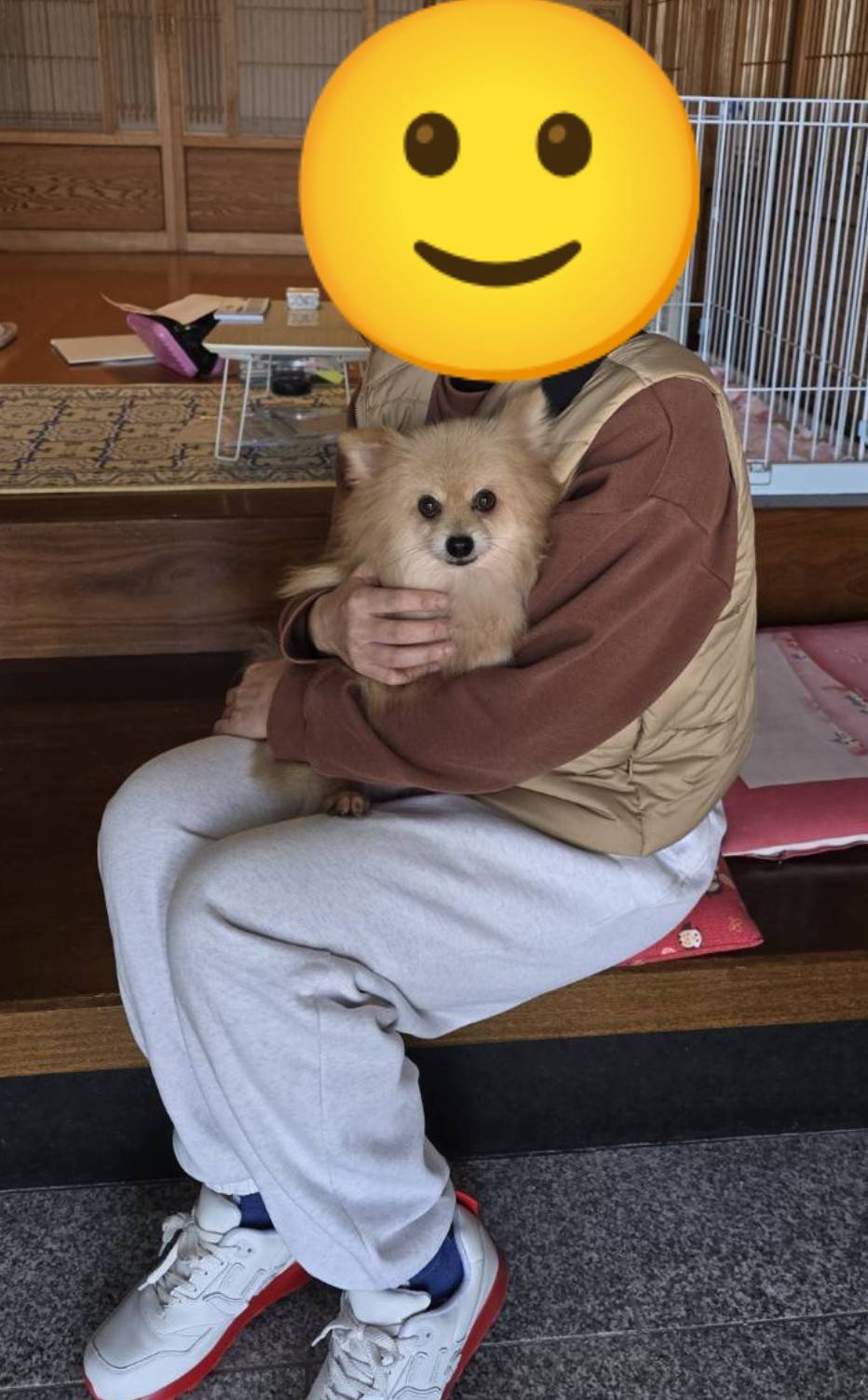 こちらの保護犬は里親様が決まりました