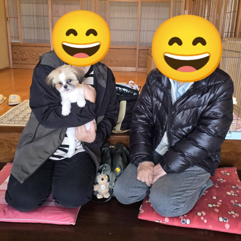 こちらの保護犬は里親様が決まりました
