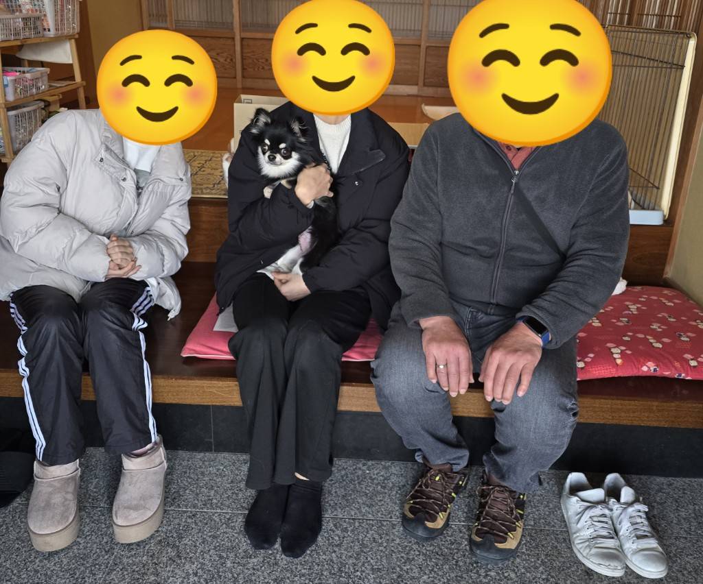 こちらの保護犬は里親様が決まりました