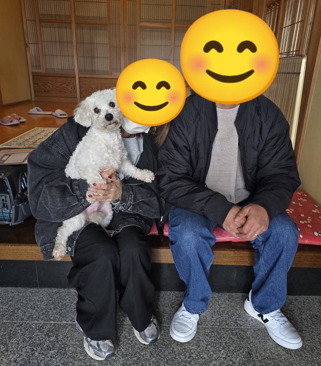 こちらの保護犬は里親様が決まりました