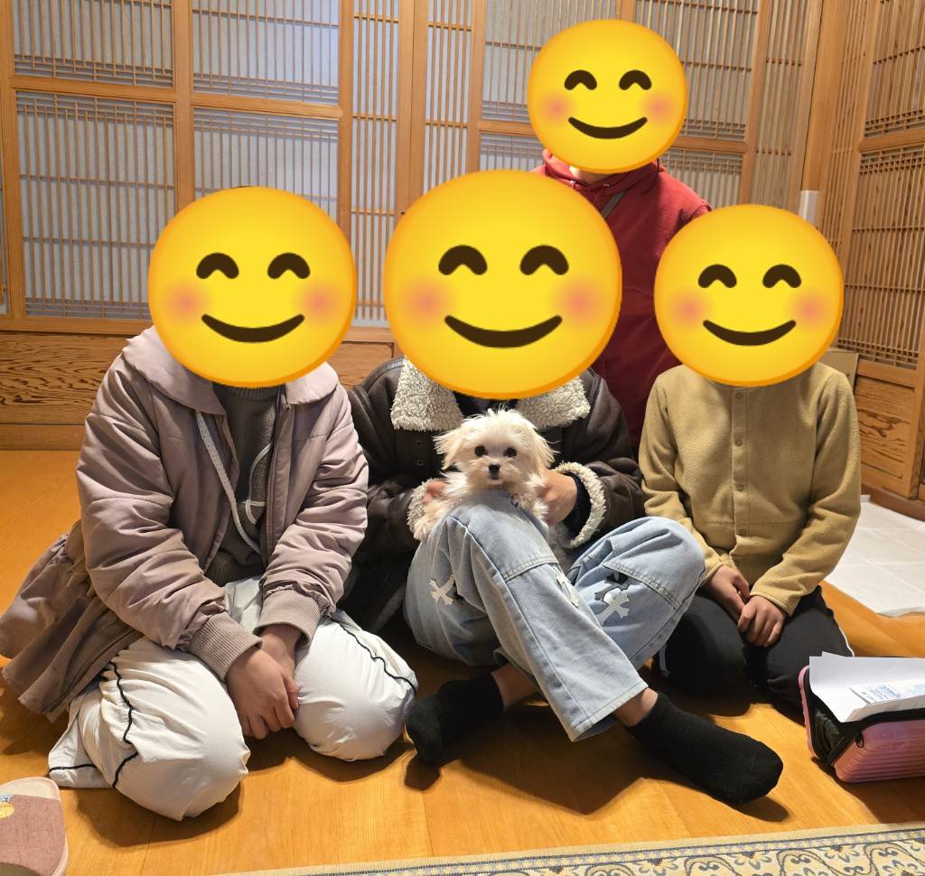 こちらの保護犬は里親様が決まりました