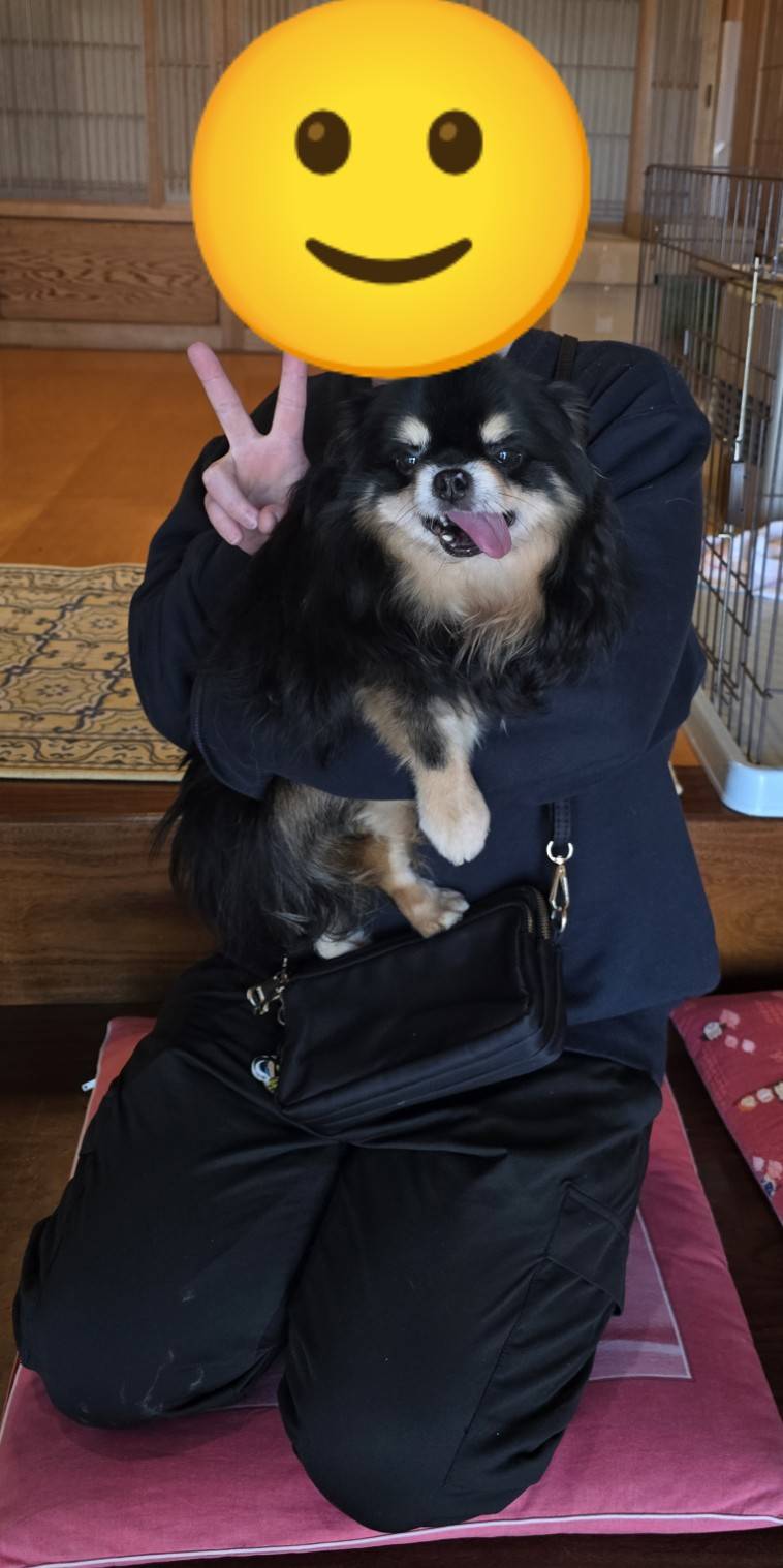 こちらの保護犬は里親様が決まりました