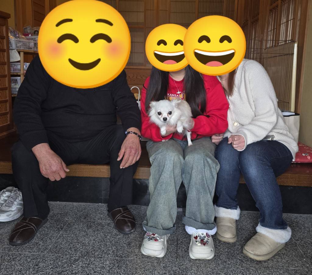 こちらの保護犬は里親様が決まりました