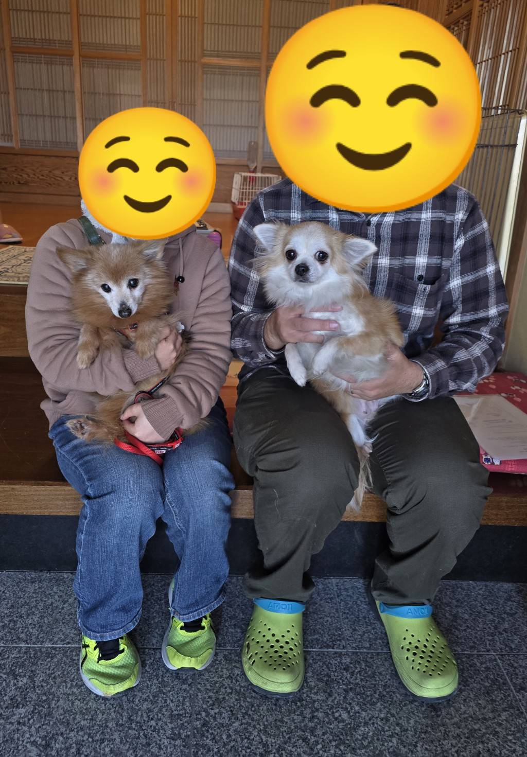 こちらの保護犬は里親様が決まりました