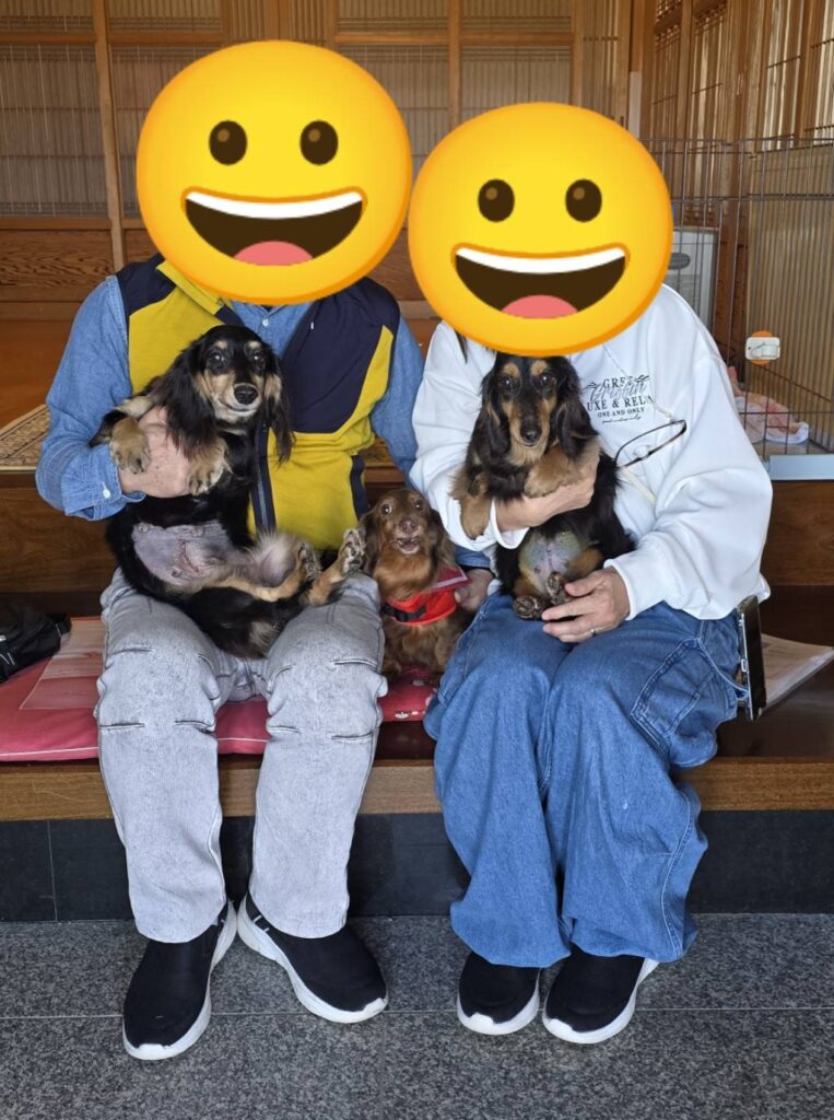 こちらの保護犬は里親様が決まりました