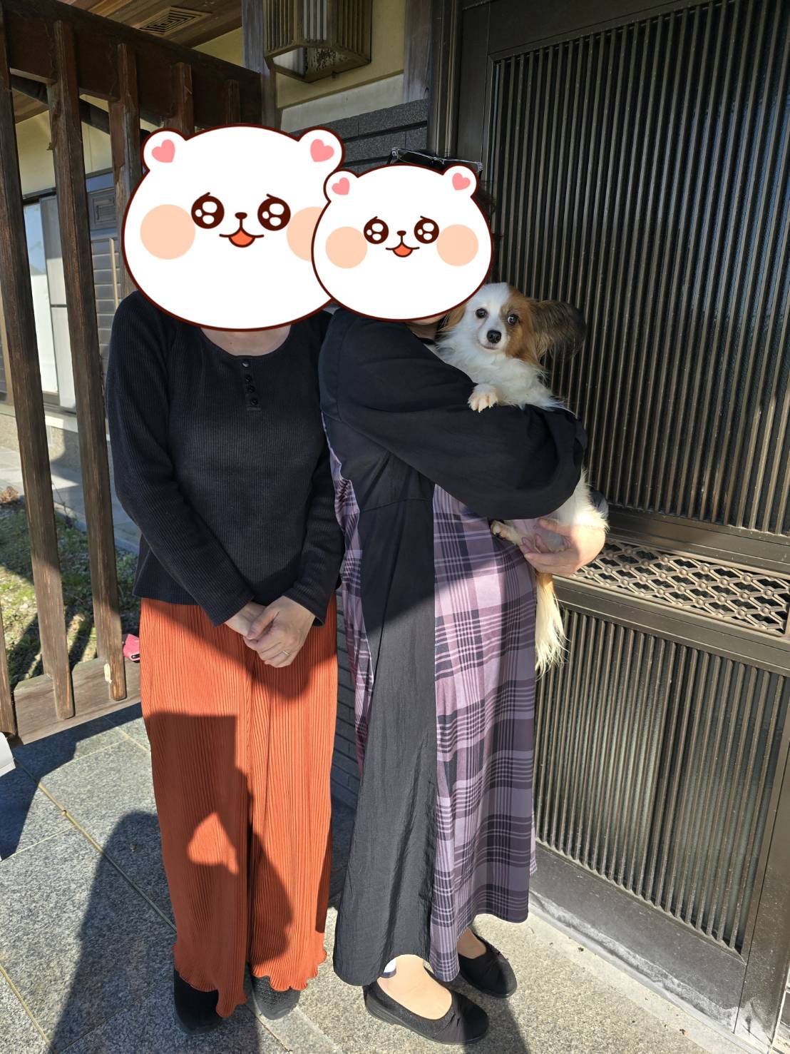 こちらの保護犬は里親様が決まりました