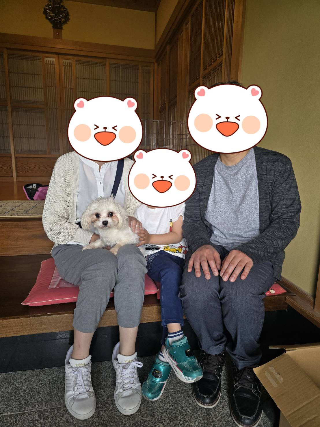 こちらの保護犬は里親様が決まりました