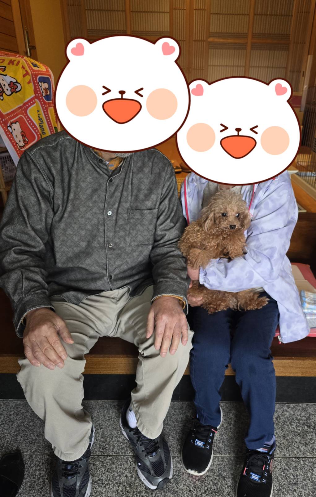 こちらの保護犬は里親様が決まりました