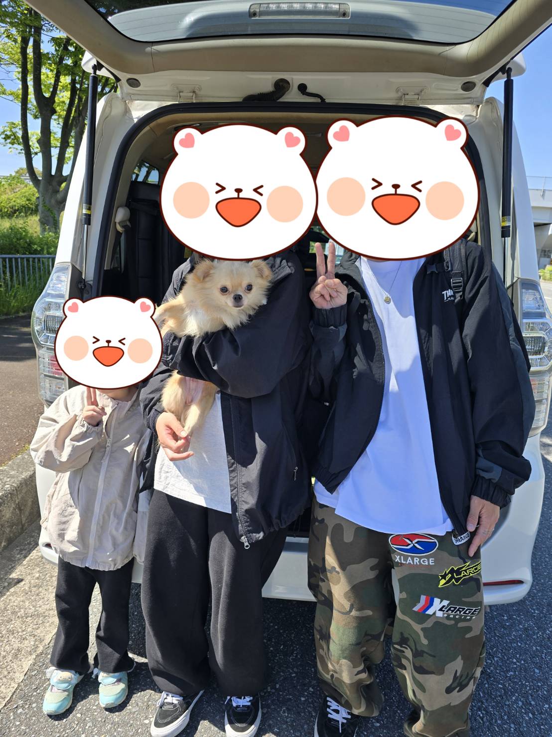 こちらの保護犬は里親様が決まりました