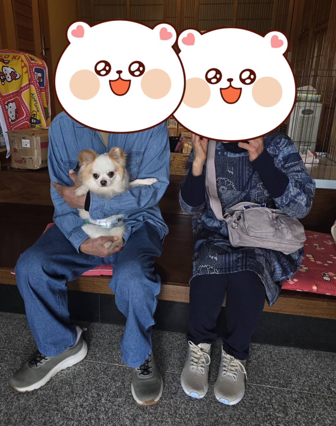 こちらの保護犬は里親様が決まりました