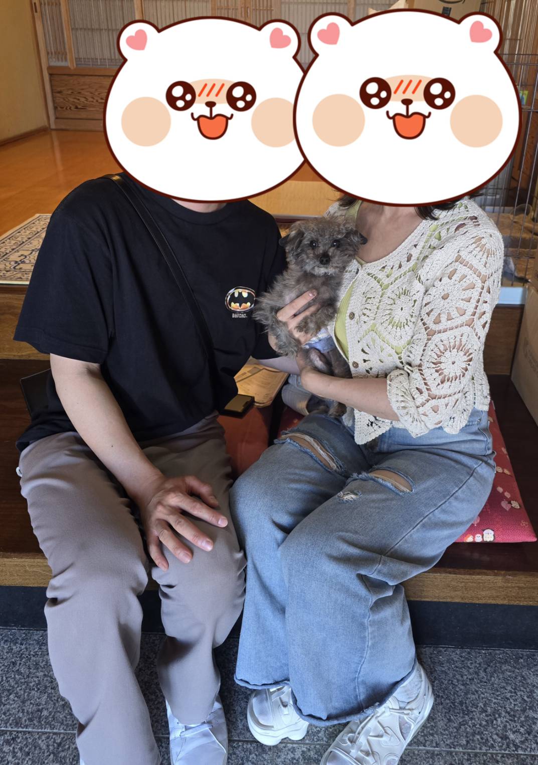 こちらの保護犬は里親様が決まりました