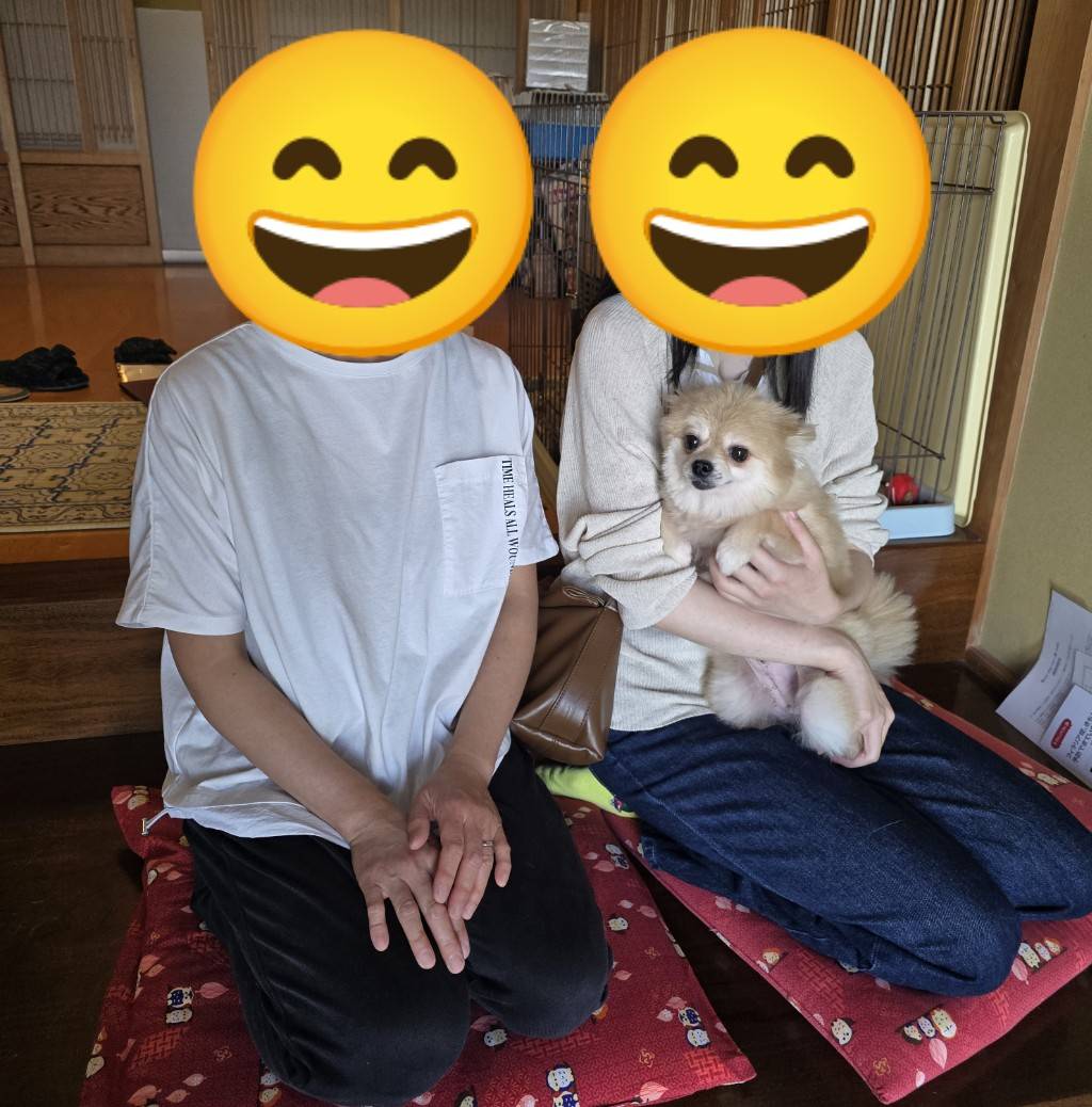 こちらの保護犬は里親様が決まりました