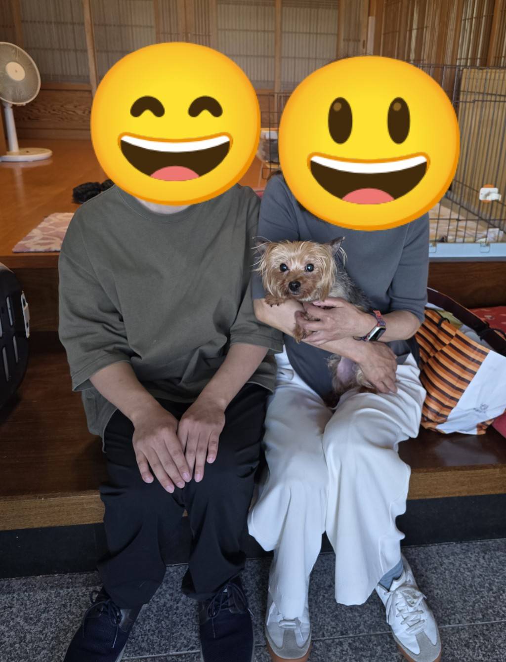 こちらの保護犬は里親様が決まりました