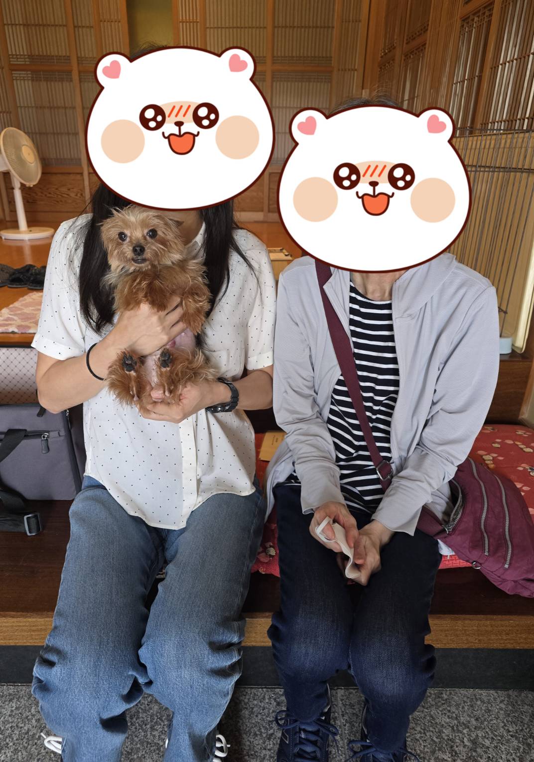 こちらの保護犬は里親様が決まりました